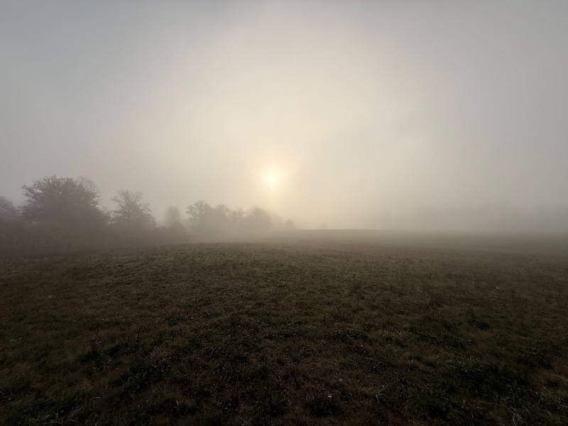 Nebel am Sonntagmorgen. Der Beginn musste wegen schlechter Sicht um eine halbe Stunder verschoben werden