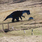 Grosser Dino frisst kleinen