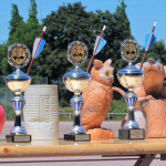 Bogenschachturnier 2017 - Bogenjäger Stuttgart