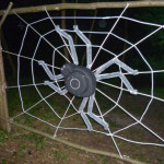 Bogenziel Spinne im Netz